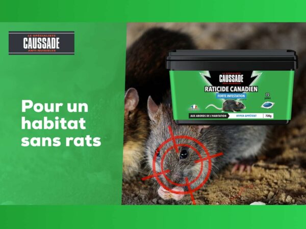 CAUSSADE CARPT720 Raticide Canadien – Image 5