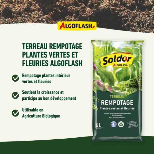 ALGOFLASH Terreau Rempotage Plantes Vertes et Plantes Fleuries – Image 2