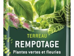 ALGOFLASH Terreau Rempotage Plantes Vertes et Plantes Fleuries, UAB, Prêt à l'Emploi, Fabriqué en France, 6 L,TREMP6