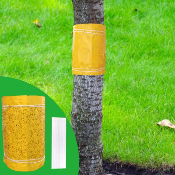 Panngu Anneau de Colle Auto - adhésif pour Arbres fruitiers 25cmx10 mètres, Anneau de Colle de Prunier de Fourmi de Chenille pour Arbres de Protection, Arbres fruitiers, Arbres cerisiers