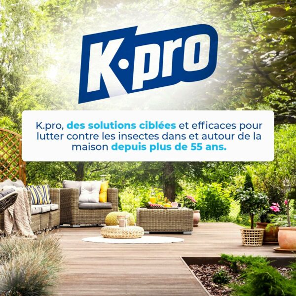 K.PRO Choc - Spray Aérosol Nid de Guêpes et Frelons – Image 6